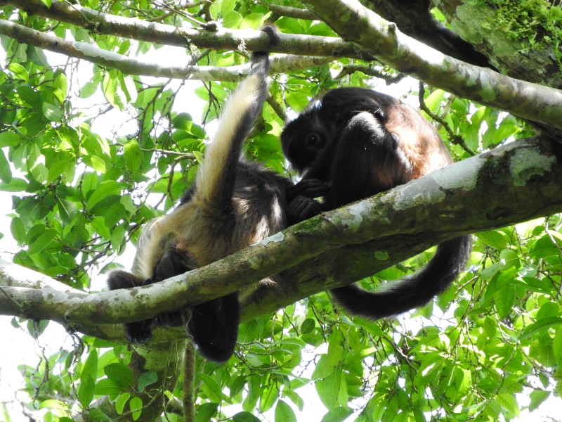 62 Parque Nacional Tikal